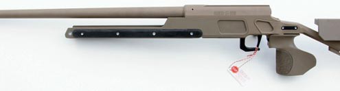 Sauer-1_WEB